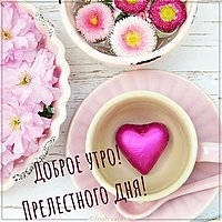 Картинка доброе утро хорошего дня нежная
