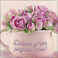 Картинка доброе утро красивая для девушки