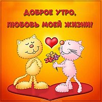 Картинка доброе утро красивая оригинальная очень милая