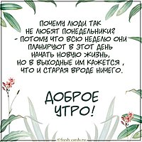 Картинка доброе утро красивая понедельник прикольная