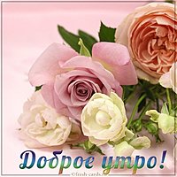 Картинка доброе утро красивая с надписью девушке