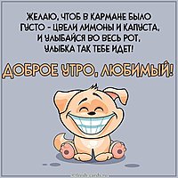 Картинка доброе утро любимый прикольная смешная
