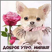 Картинка доброе утро милая прикольная