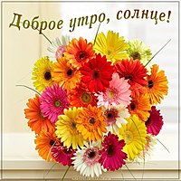 Картинка доброе утро солнце цветы
