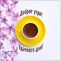 Картинка доброе утро удачного дня красивая необычная