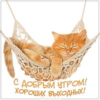 Картинка доброе утро веселых выходных хорошего дня