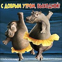Картинка доброе утро веселых выходных