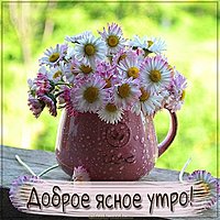 Картинка доброе ясное утро