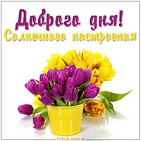 Картинка доброго дня солнечного настроения