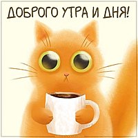 Картинка доброго утра и дня