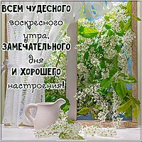 Картинка доброго воскресного дня красивая