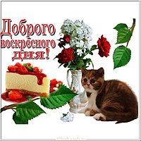 Картинка доброго воскресного дня с надписями
