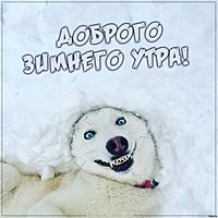 Картинка доброго зимнего утра прикольная