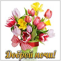 Картинка доброй ночи яркая
