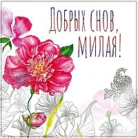 Картинка добрых снов девушке