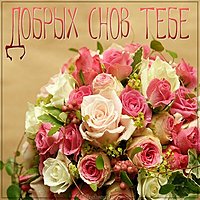 Картинка добрых снов тебе