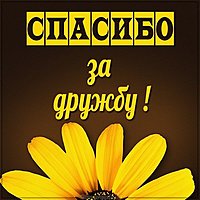 Картинка друзьям спасибо за дружбу