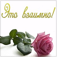 Картинка это взаимно