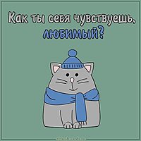 Картинка как ты себя чувствуешь любимый
