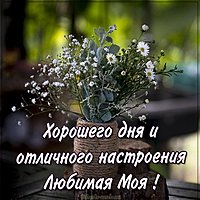Картинка хорошего дня и отличного настроения любимая