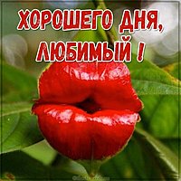 Картинка хорошего дня любимый прикольная
