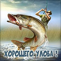 Картинка хорошего улова