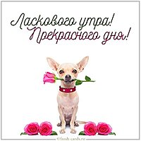 Картинка ласкового утра и прекрасного дня