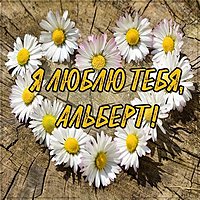 Картинка люблю тебя Альберт