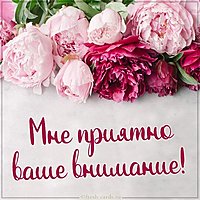 Картинка мне приятно ваше внимание