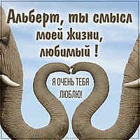 Картинка мой любимый Альберт