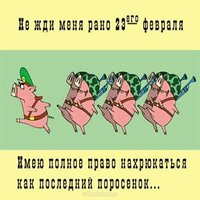 Картинка на 23 февраля прикольная
