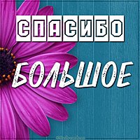 Картинка на тему спасибо большое