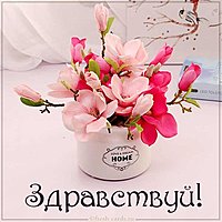 Картинка на тему здравствуй