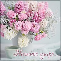 Картинка нежное утро красивая