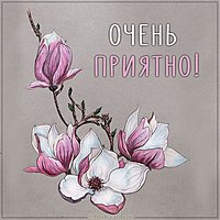 Картинка очень приятно