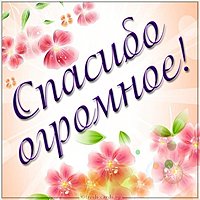 Картинка огромное спасибо красивая с надписью