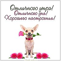 Картинка отличного утра дня и хорошего настроения