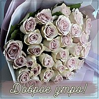 Картинка пожелать девушке доброе утро