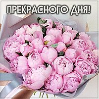 Картинка прекрасного дня нежная