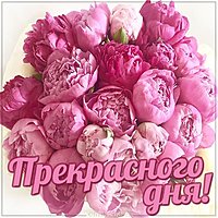 Картинка прекрасного дня новая