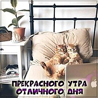 Картинка прекрасного утра и отличного дня прикольная
