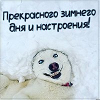 Картинка прекрасного зимнего дня и настроения