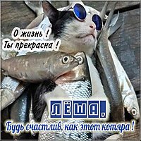 Картинка прикол с именем Леша