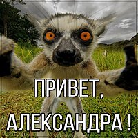 Картинка привет Александра