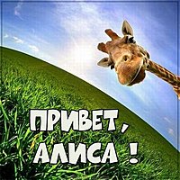 Картинка привет Алиса