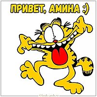 Картинка привет Амина