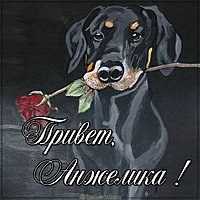 Картинка привет Анжелика