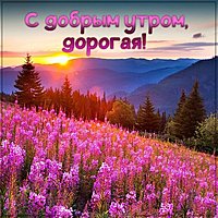Картинка приветствие с добрым утром девушке