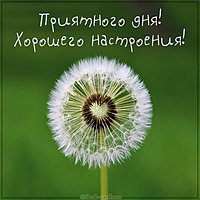 Картинка приятного дня и хорошего настроения мужчине