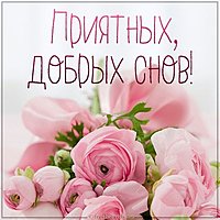 Картинка приятных добрых снов с надписью
